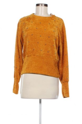 Γυναικεία μπλούζα Made In Italy, Μέγεθος M, Χρώμα Κίτρινο, Τιμή 2,94 €