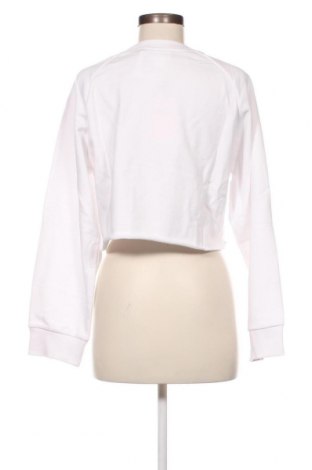Damen Shirt Monki, Größe XXS, Farbe Weiß, Preis € 4,02