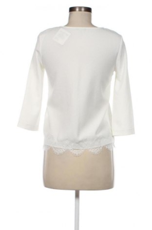 Γυναικεία μπλούζα Motivi, Μέγεθος XXS, Χρώμα Λευκό, Τιμή 4,60 €