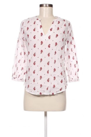 Γυναικεία μπλούζα Next, Μέγεθος XS, Χρώμα Πολύχρωμο, Τιμή 14,85 €
