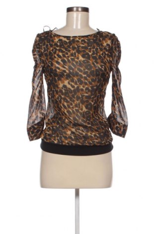 Γυναικεία μπλούζα Next, Μέγεθος XS, Χρώμα Πολύχρωμο, Τιμή 1,93 €