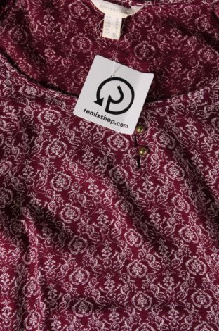 Γυναικεία μπλούζα Springfield, Μέγεθος XS, Χρώμα Πολύχρωμο, Τιμή 2,72 €
