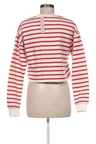 Damen Shirt Tally Weijl, Größe XS, Farbe Mehrfarbig, Preis € 4,15