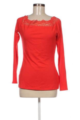 Damen Shirt Tezenis, Größe L, Farbe Rot, Preis 13,22 €