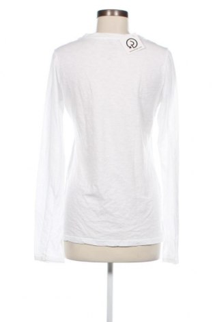 Дамска блуза Velvet by Graham & Spencer, Размер M, Цвят Бял, Цена 34,00 лв.