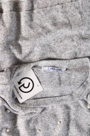 Damen Shirt Zara Trafaluc, Größe S, Farbe Grau, Preis 2,92 €