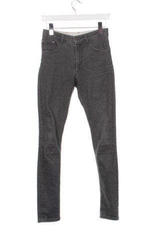 Damen Jeans Whyred, Größe S, Farbe Grau, Preis 7,10 €