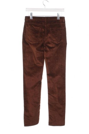 Pantaloni de velvet de femei Esprit, Mărime S, Culoare Maro, Preț 74,00 Lei