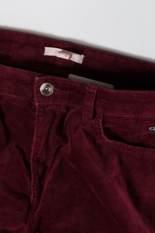 Γυναικείο κοτλέ παντελόνι Esprit, Μέγεθος M, Χρώμα Κόκκινο, Τιμή 3,59 €
