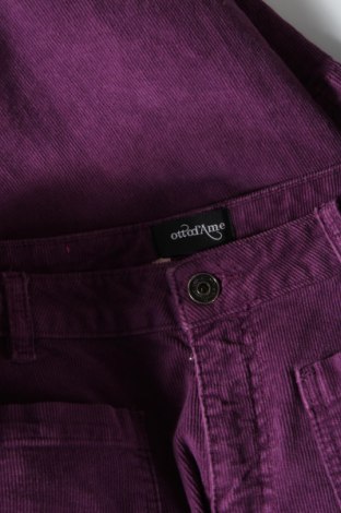 Pantaloni de velvet de femei Ottod'Ame, Mărime S, Culoare Mov, Preț 80,25 Lei