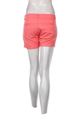 Damen Shorts Terranova, Größe S, Farbe Rosa, Preis € 5,12