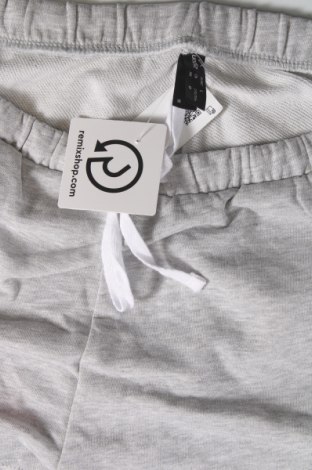Damen Shorts Undiz, Größe L, Farbe Grau, Preis 37,11 €