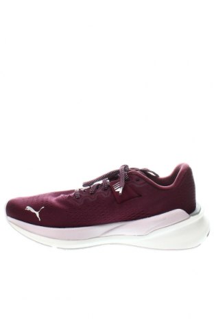 Damenschuhe PUMA, Größe 36, Farbe Lila, Preis 33,20 €