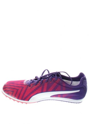 Damenschuhe PUMA, Größe 37, Farbe Mehrfarbig, Preis 49,79 €