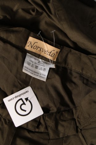 Damenhose, Größe M, Farbe Grün, Preis € 3,83