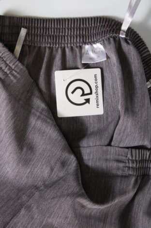 Дамски панталон Alica, Размер L, Цвят Сив, Цена 6,20 лв.
