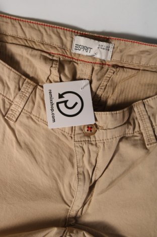 Damenhose Esprit, Größe L, Farbe Beige, Preis 20,18 €