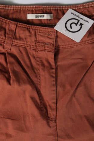 Дамски панталон Esprit, Размер M, Цвят Кафяв, Цена 10,15 лв.