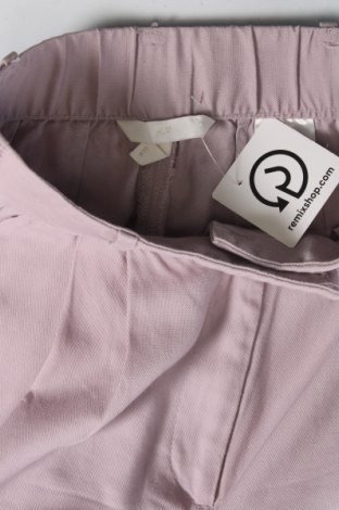 Damenhose H&M, Größe XS, Farbe Lila, Preis 14,84 €