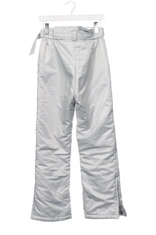 Дамски панталон за зимни спортове, Размер M, Цвят Сив, Цена 33,75 лв.