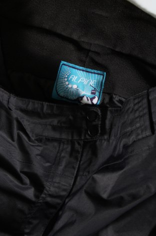 Pantaloni de damă pentru sporturi de iarnă, Mărime XL, Culoare Negru, Preț 86,99 Lei