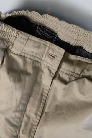 Дамски панталон за зимни спортове Five Seasons, Размер M, Цвят Бежов, Цена 18,75 лв.