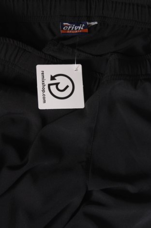 Damen Sporthose Crivit, Größe L, Farbe Schwarz, Preis 20,18 €