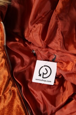 Dámská bunda , Velikost S, Barva Oranžová, Cena  278,00 Kč