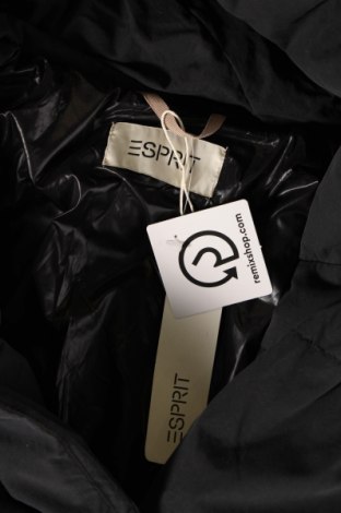 Damenjacke Esprit, Größe M, Farbe Schwarz, Preis € 67,22