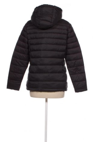 Γυναικείο μπουφάν Lake View, Μέγεθος XL, Χρώμα Μπλέ, Τιμή 97,94 €