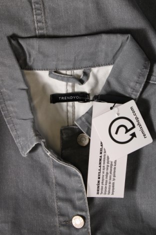 Damenjacke Trendyol, Größe L, Farbe Grau, Preis € 13,15