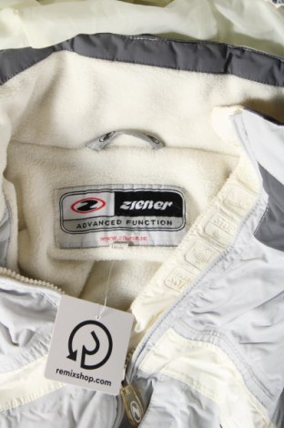 Γυναίκειο μπουφάν για χειμερινά σπορ Ziener, Μέγεθος L, Χρώμα Γκρί, Τιμή 13,30 €
