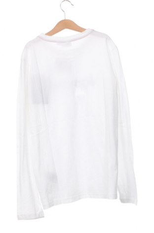 Kinder Shirt Napapijri, Größe 13-14y/ 164-168 cm, Farbe Weiß, Preis 61,34 €