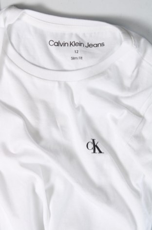 Dziecięcy T-shirt Calvin Klein Jeans, Rozmiar 12-13y/ 158-164 cm, Kolor Biały, Cena 170,59 zł