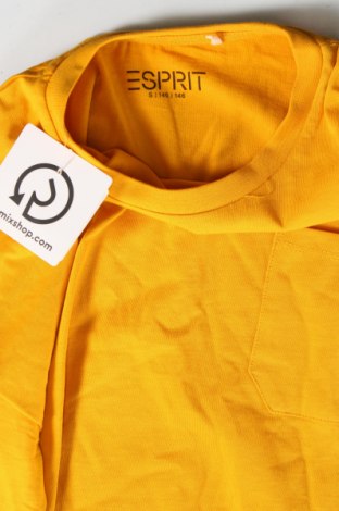 Παιδικό μπλουζάκι Esprit, Μέγεθος 9-10y/ 140-146 εκ., Χρώμα Πορτοκαλί, Τιμή 23,71 €