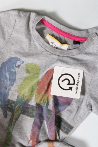 Kinder T-Shirt Harmont & Blaine, Größe 12-18m/ 80-86 cm, Farbe Grau, Preis € 20,97