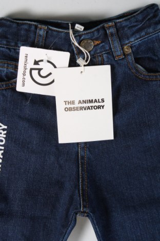 Dziecięce jeansy The Animals Observatory, Rozmiar 18-24m/ 86-98 cm, Kolor Niebieski, Cena 148,20 zł