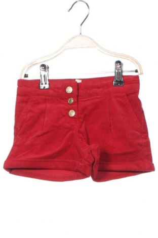 Παιδικό κοντό παντελόνι Du Pareil Au Meme, Μέγεθος 18-24m/ 86-98 εκ., Χρώμα Κόκκινο, Τιμή 6,57 €