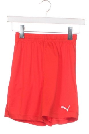 Pantaloni scurți pentru copii PUMA, Mărime 11-12y/ 152-158 cm, Culoare Roșu, Preț 72,70 Lei