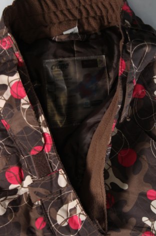 Dětské kalhoty pro zimní sporty  Crane, Velikost 15-18y/ 170-176 cm, Barva Vícebarevné, Cena  260,00 Kč