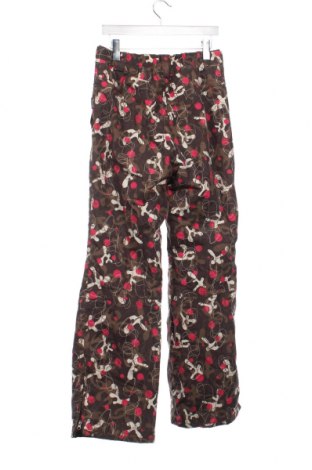 Παιδικό παντελόνι για χειμερινά σπορ Crane, Μέγεθος 15-18y/ 170-176 εκ., Χρώμα Πολύχρωμο, Τιμή 8,11 €