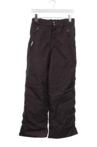 Детски панталон за зимни спортове Wedze, Размер 15-18y/ 170-176 см, Цвят Черен, Цена 13,92 лв.