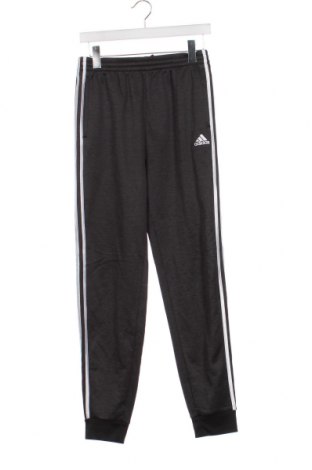 Kinder Sporthose Adidas, Größe 15-18y/ 170-176 cm, Farbe Grau, Preis 18,93 €