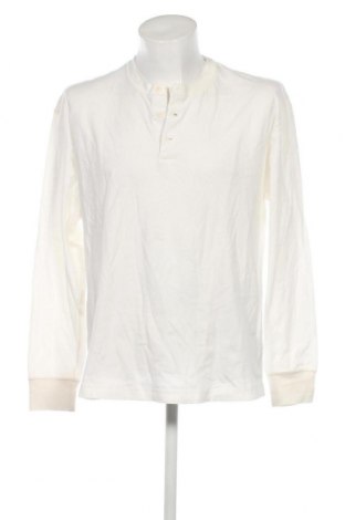 Ανδρική μπλούζα Abercrombie & Fitch, Μέγεθος L, Χρώμα Εκρού, Τιμή 37,86 €