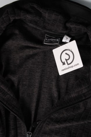 Ανδρική μπλούζα Icepeak, Μέγεθος XL, Χρώμα Πολύχρωμο, Τιμή 21,03 €
