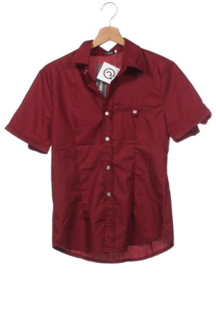 Herrenhemd, Größe M, Farbe Rot, Preis 9,72 €