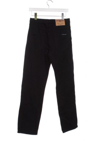 Herren Jeans, Größe S, Farbe Schwarz, Preis 3,43 €