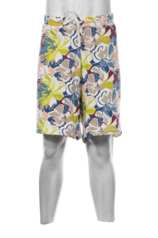 Ανδρικό κοντό παντελόνι, Μέγεθος XXL, Χρώμα Πολύχρωμο, Τιμή 11,75 €