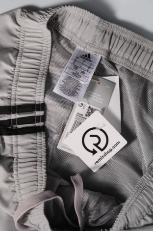 Ανδρικό κοντό παντελόνι Adidas, Μέγεθος L, Χρώμα Γκρί, Τιμή 33,40 €