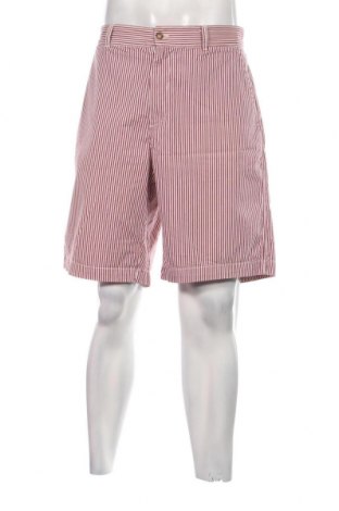 Мъжки къс панталон Marina Yachting, Размер L, Цвят Многоцветен, Цена 14,50 лв.